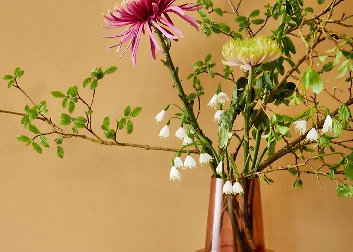 La Dominotte Short 9b Appartement Arcen