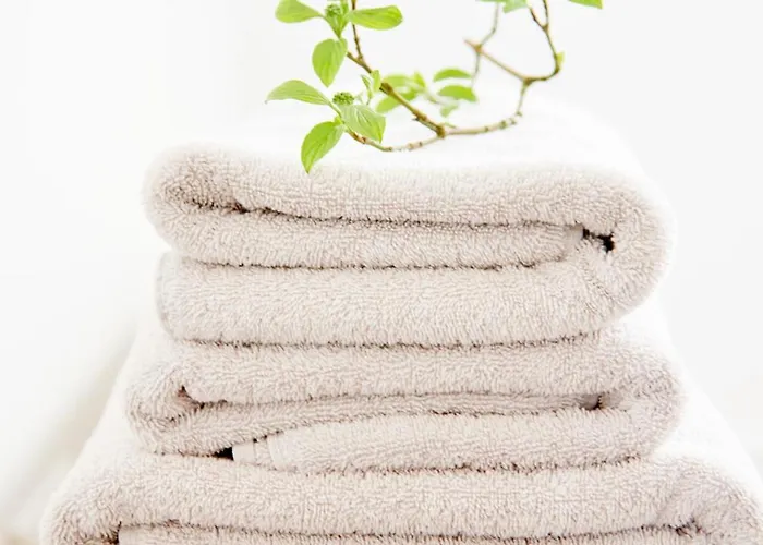 La Dominotte Short 9b Appartement *