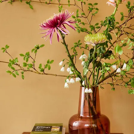 La Dominotte Short 9b Appartement Arcen